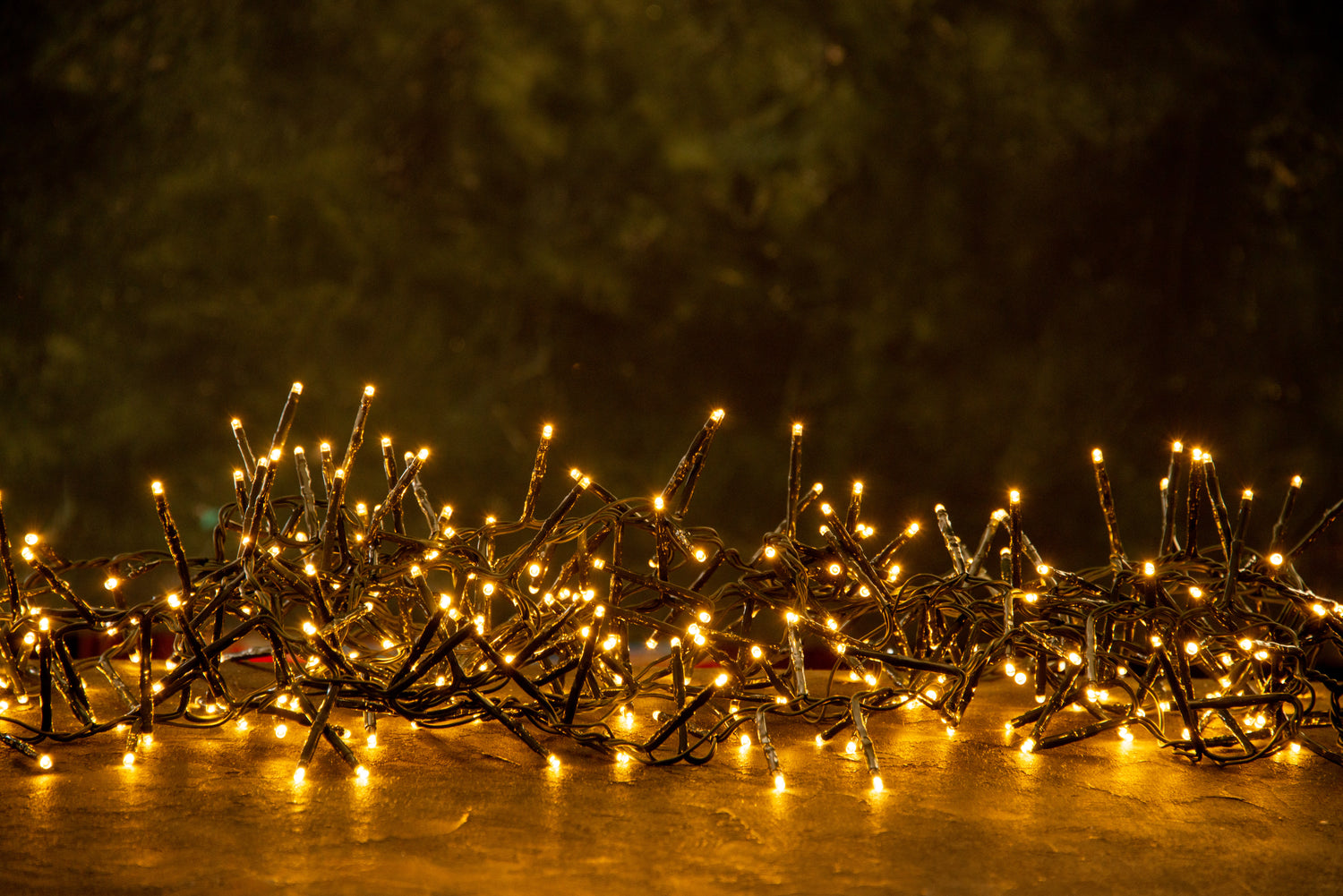 Fairy Lights
