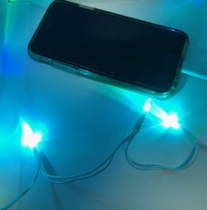 iPhone/Samsung fairy lights USB charging cable