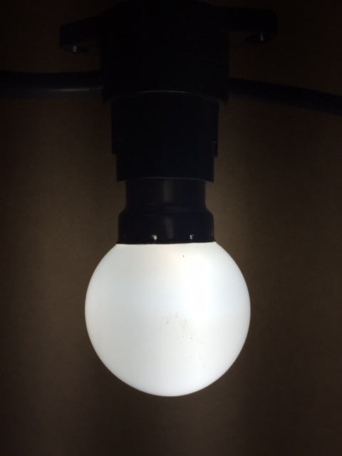 Globe LED G45-B22 - Bright White 1W